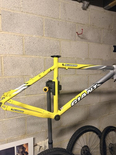 Giant iguana mtb frame - iguana,