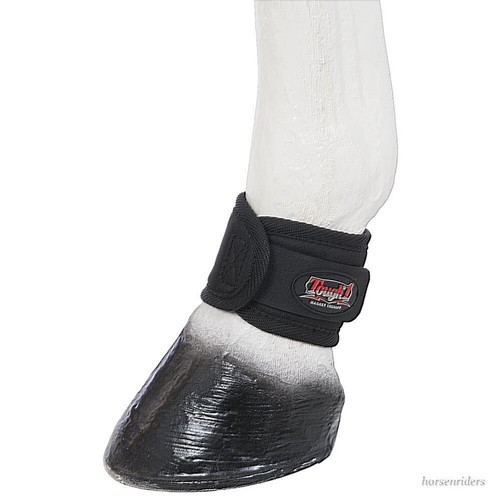 Horse magnetic therapy - horse,