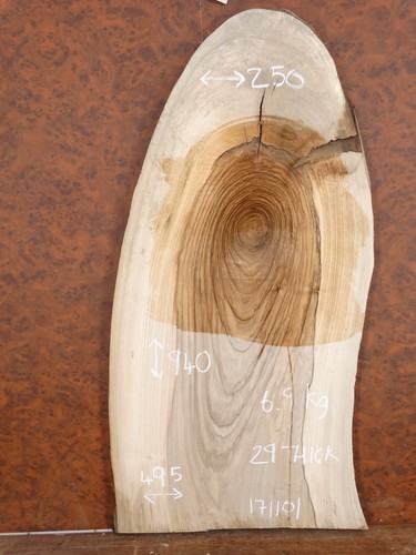 English walnut natural waney - english,