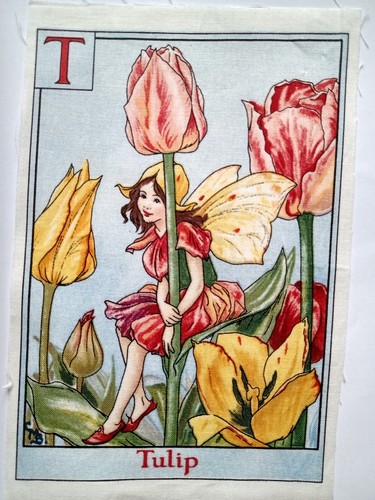 Tulip alphabet letters - -,