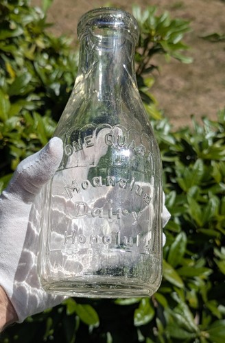 Moanalua dairy milk bottle - dairy,