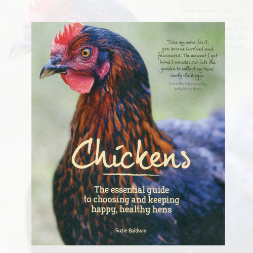 Chickens essential guide - guide, to