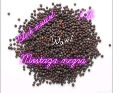 semilla de mostaza negra~black