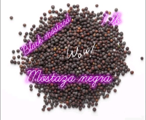 Semilla mostaza negra - semilla, negra~black