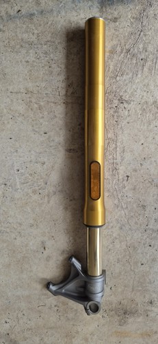 Genuine triumph speed - triumph, triple