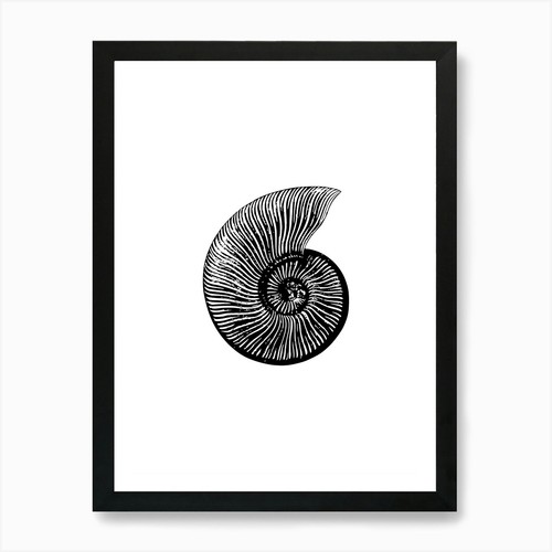 Nautilus shell art - art, print