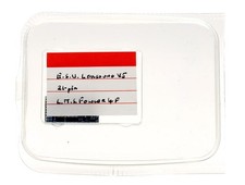 ESU 'MULTI' GAUGE LOKSOUND V5