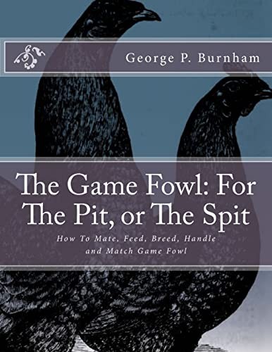 The game fowl for - for, pit