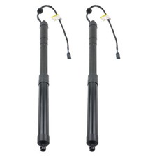 Pair Tailgate Gas Struts for