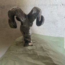 Rams Head Car Bonnet Mascot