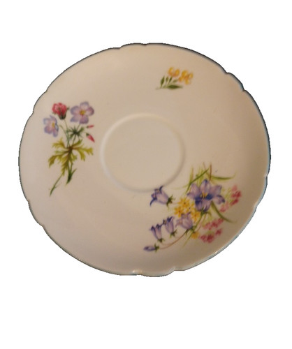 Shelley bone china wild - ,