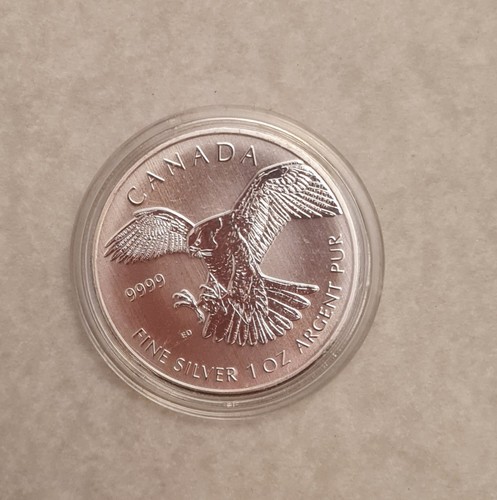 2014 canadian birds - canadian, prey