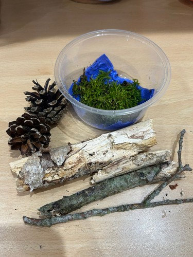 Live terrarium starter kit - terrarium,