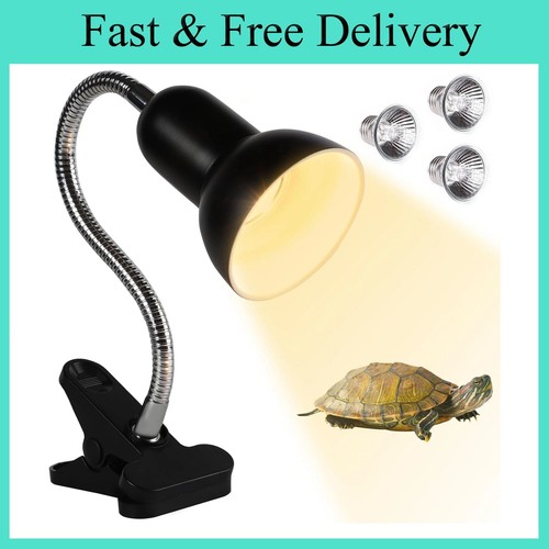 Tortoise heat lamp with - with, 2