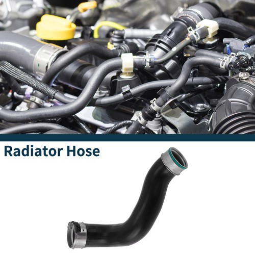 Radiator hose for - radiator,