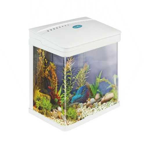 Small nano aquarium fish - nano,