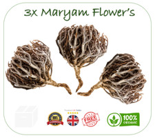 3X Maryam flower Jericho Rose