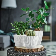 Plant Pots Indoor Outdoor