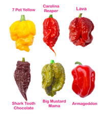 Worlds HOTTEST Chilli - 20