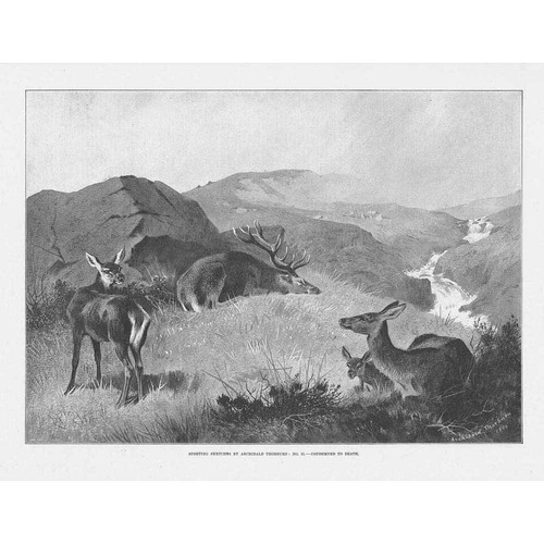 Archibald thorburn condemned - archibald,