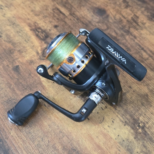 Daiwa team - team,
