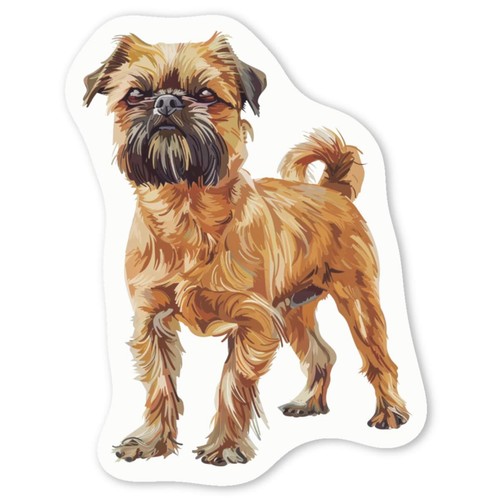 Brussels griffon standing - 'brussels, standing'