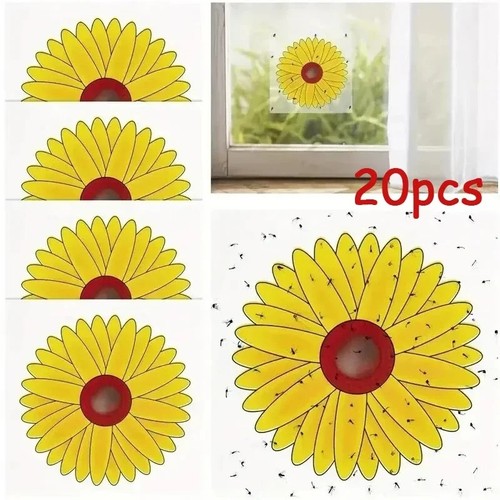 20pcs window fly - fly, traps