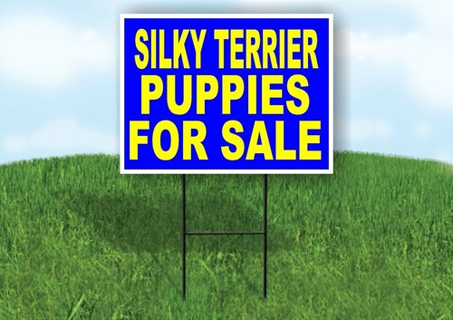 Silky terrier puppies for sale - puppies,