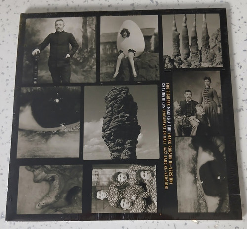 Foo fighters vinyl - fighters,