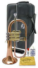 Windcraft wfg 210 - flugel, horn