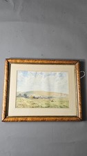 Antique Golden harvest