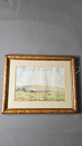 Antique golden harvest - golden,