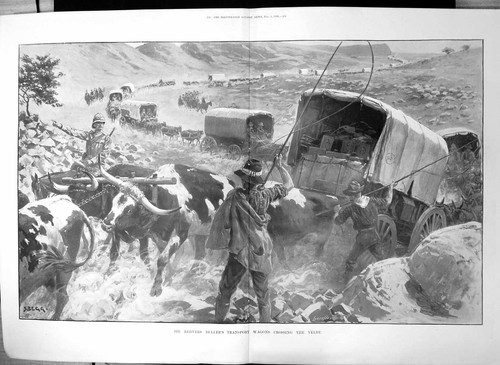 Antique print transvaal war - transvaal,