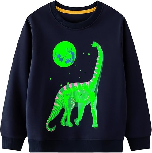 Boys dinosaur sweatshirt - dinosaur,