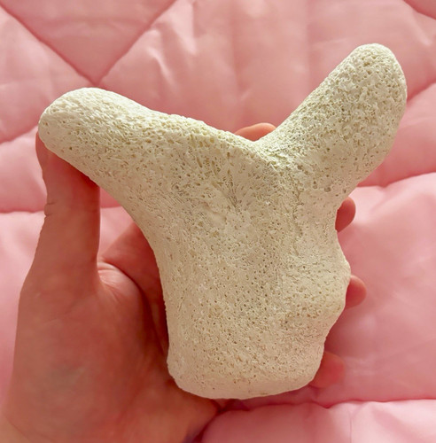 Genuine australian white coral - genuine,