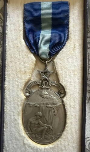 Masonic medal aegros sanat - medal,