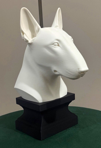 English bull terrier - terrier, dog