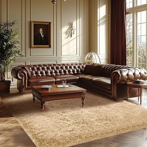 Large shaggy rug - rug, anti