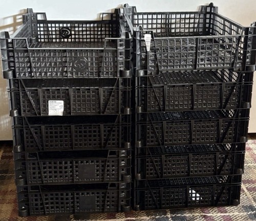 Mushroom crates stackable - 10,