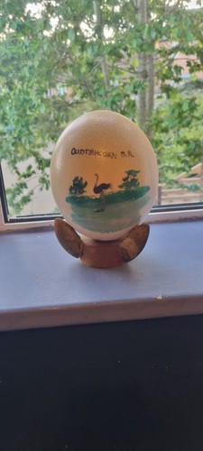 Real ostrich egg mounted - egg, on