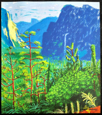 David Hockney Lithograph COA
