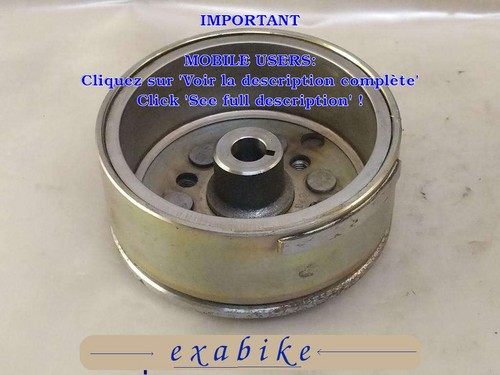 Alternator rotor for - rotor,