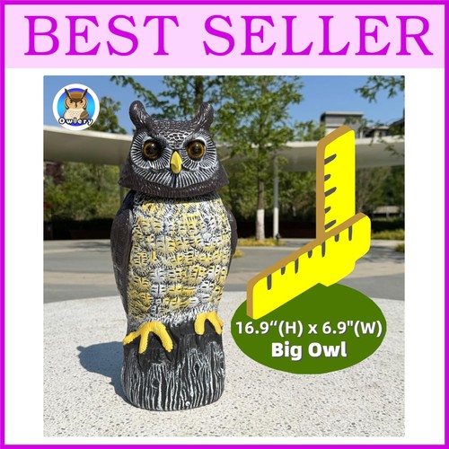 Outdoor solar owl - solar,