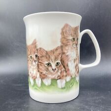 Vintage Rose of England ginger kittens bone china mug made in England 