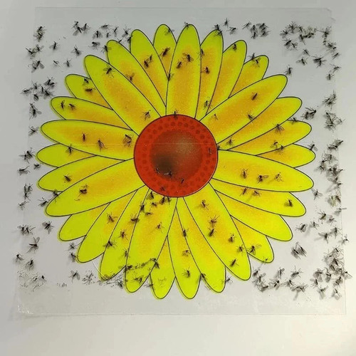 Fly catcher window flower - catcher,
