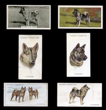 ELKHOUND NORWEGIAN DOG Vintage