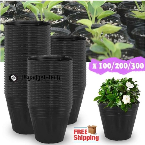 Lot plant nursery pots - nursery,