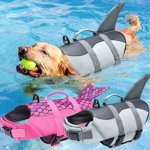 Dog life jacket buoyancy - dog,