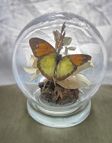 Vintage 1970 michael curzon - michael,