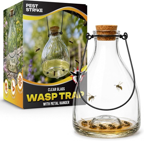 Glass wasp catcher - wasp, hanging